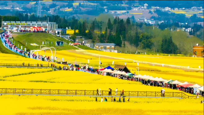 2025“发裸照我就还钱”，催收与老赖孰强孰弱？