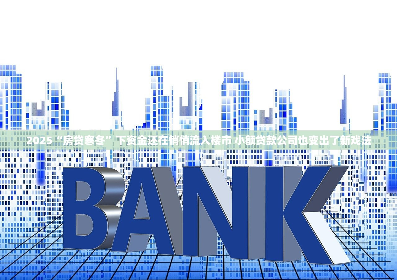 2025“房贷寒冬”下资金还在悄悄流入楼市 小额贷款公司也变出了新戏法