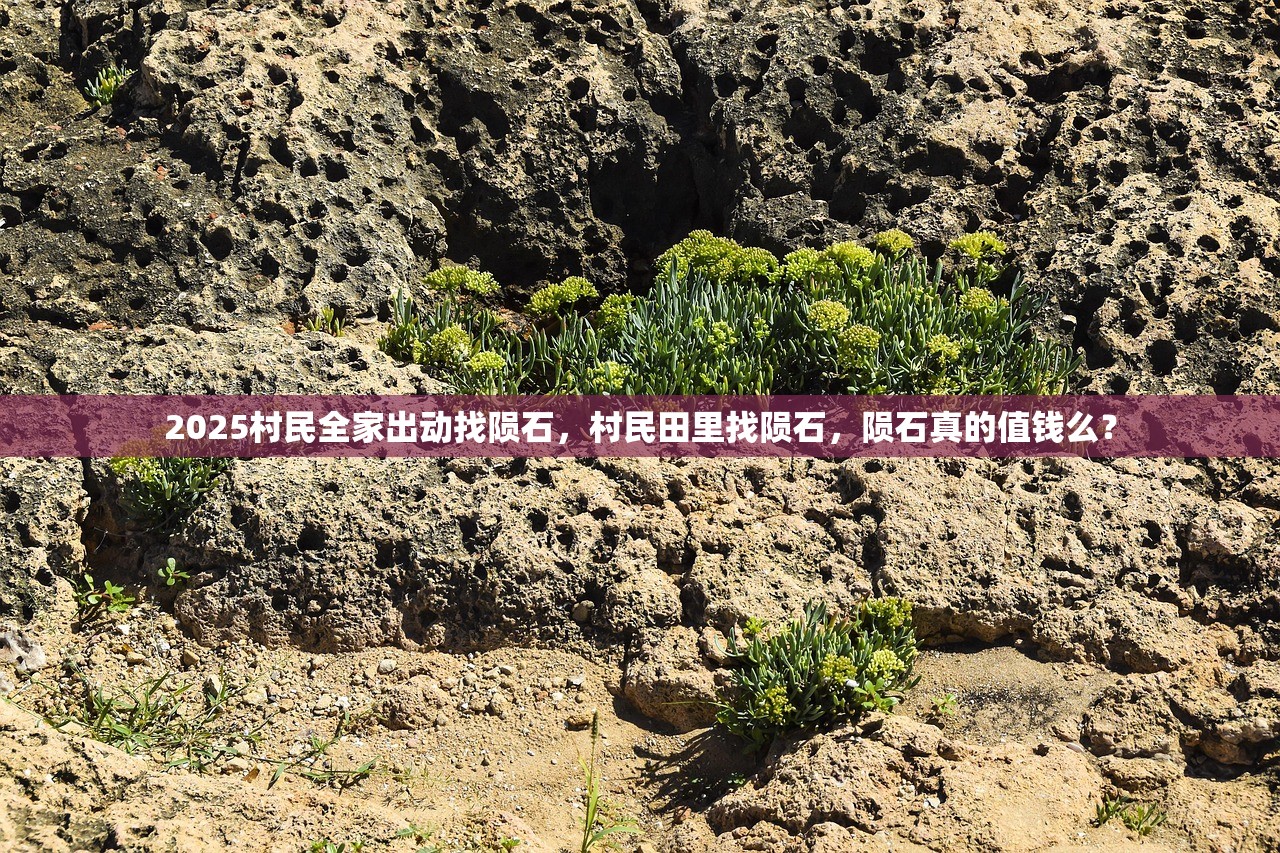 2025刚毕业20出头，深陷网贷，欠了10万，我只能这么做！