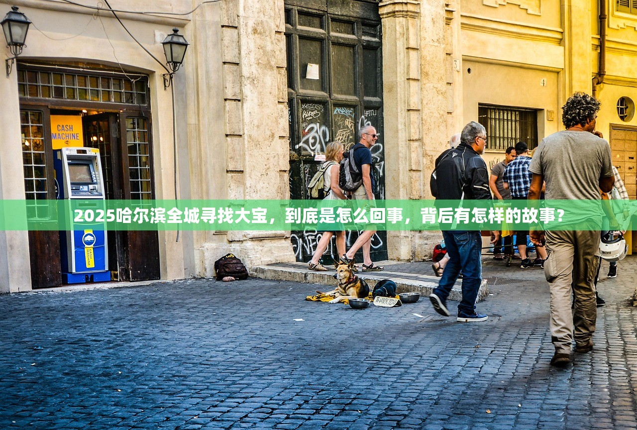 2025哈尔滨全城寻找大宝，到底是怎么回事，背后有怎样的故事？