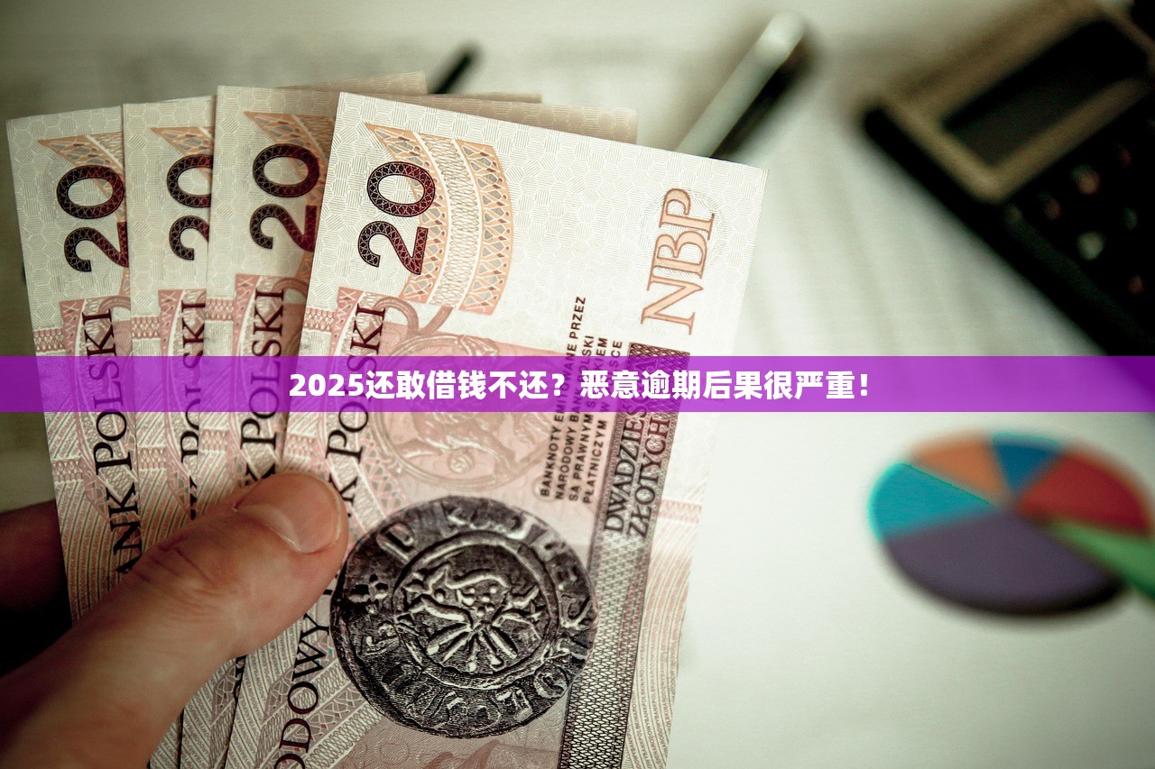 2025还敢借钱不还？恶意逾期后果很严重！