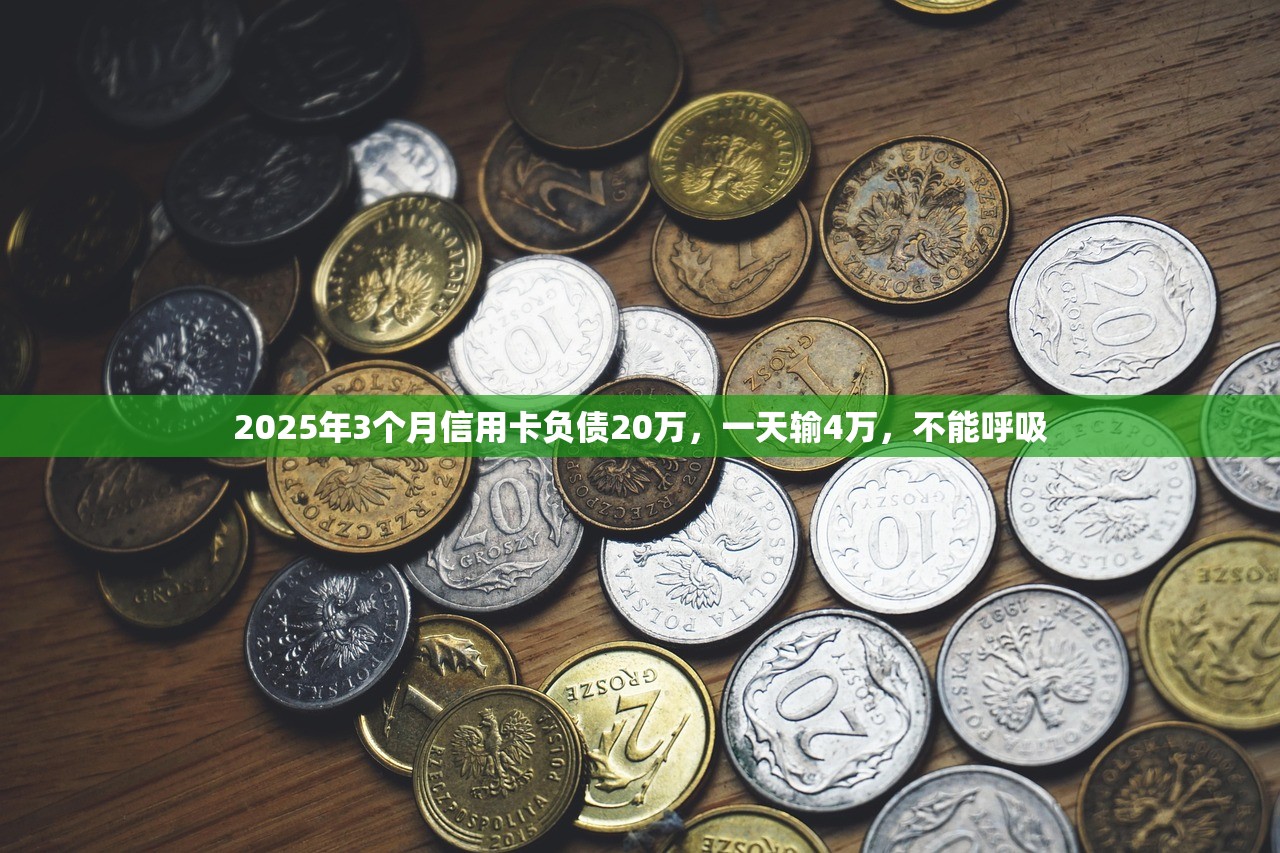 2025年3个月信用卡负债20万，一天输4万，不能呼吸
