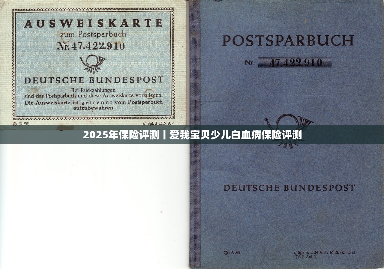 2025年保险评测丨爱我宝贝少儿白血病保险评测