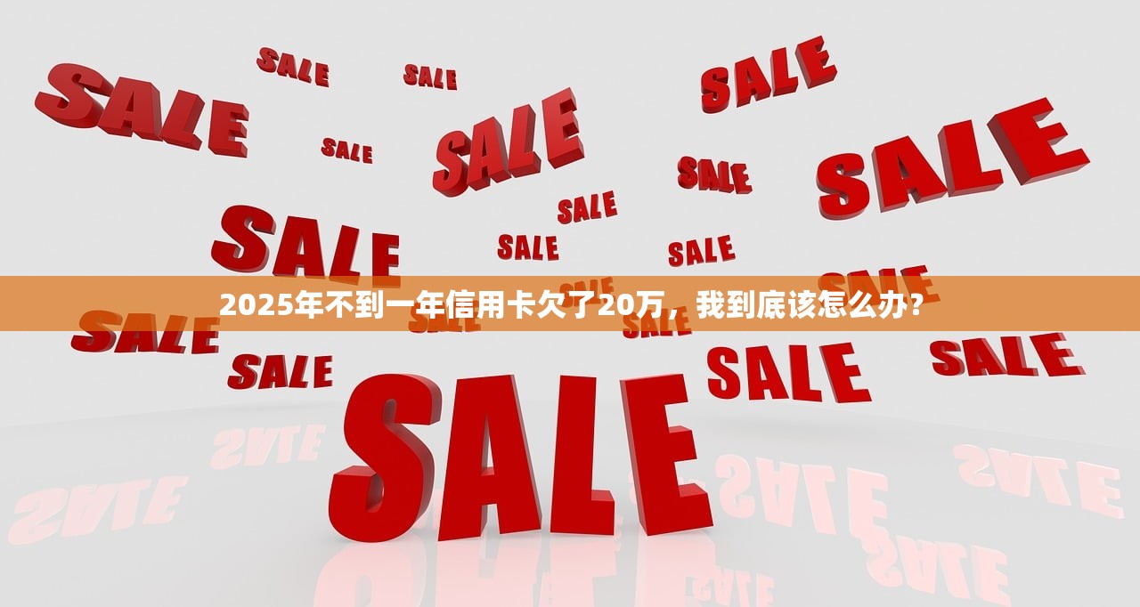 2025年不到一年信用卡欠了20万，我到底该怎么办？
