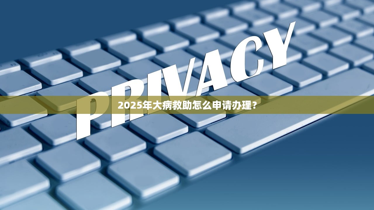 2025年大病救助怎么申请办理？