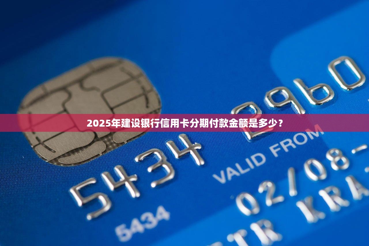 2025年建设银行信用卡分期付款金额是多少？