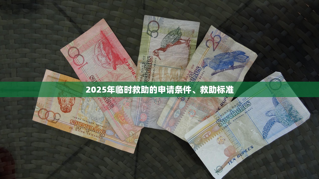 2025年临时救助的申请条件、救助标准