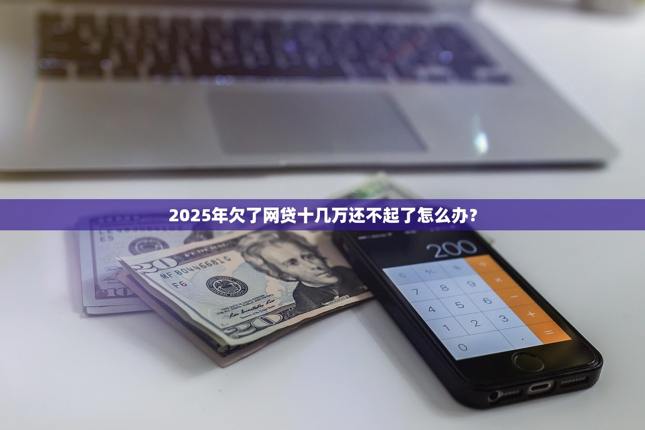 2025年欠了网贷十几万还不起了怎么办？