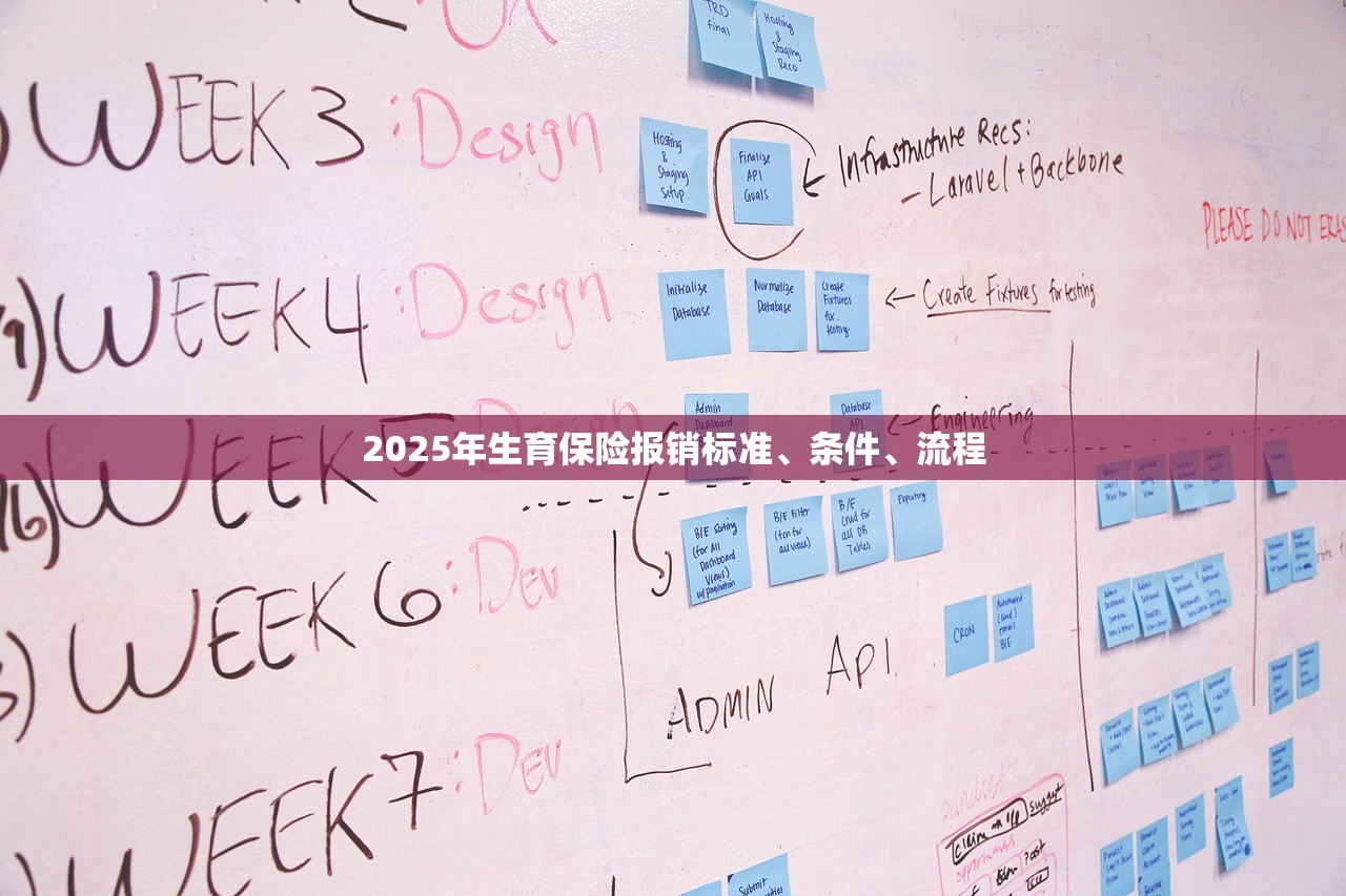 2025年生育保险报销标准、条件、流程