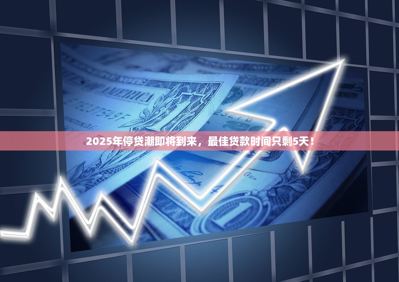 2025年网贷两年，欠款6万8，这个年轻人差点被“逼疯”了…