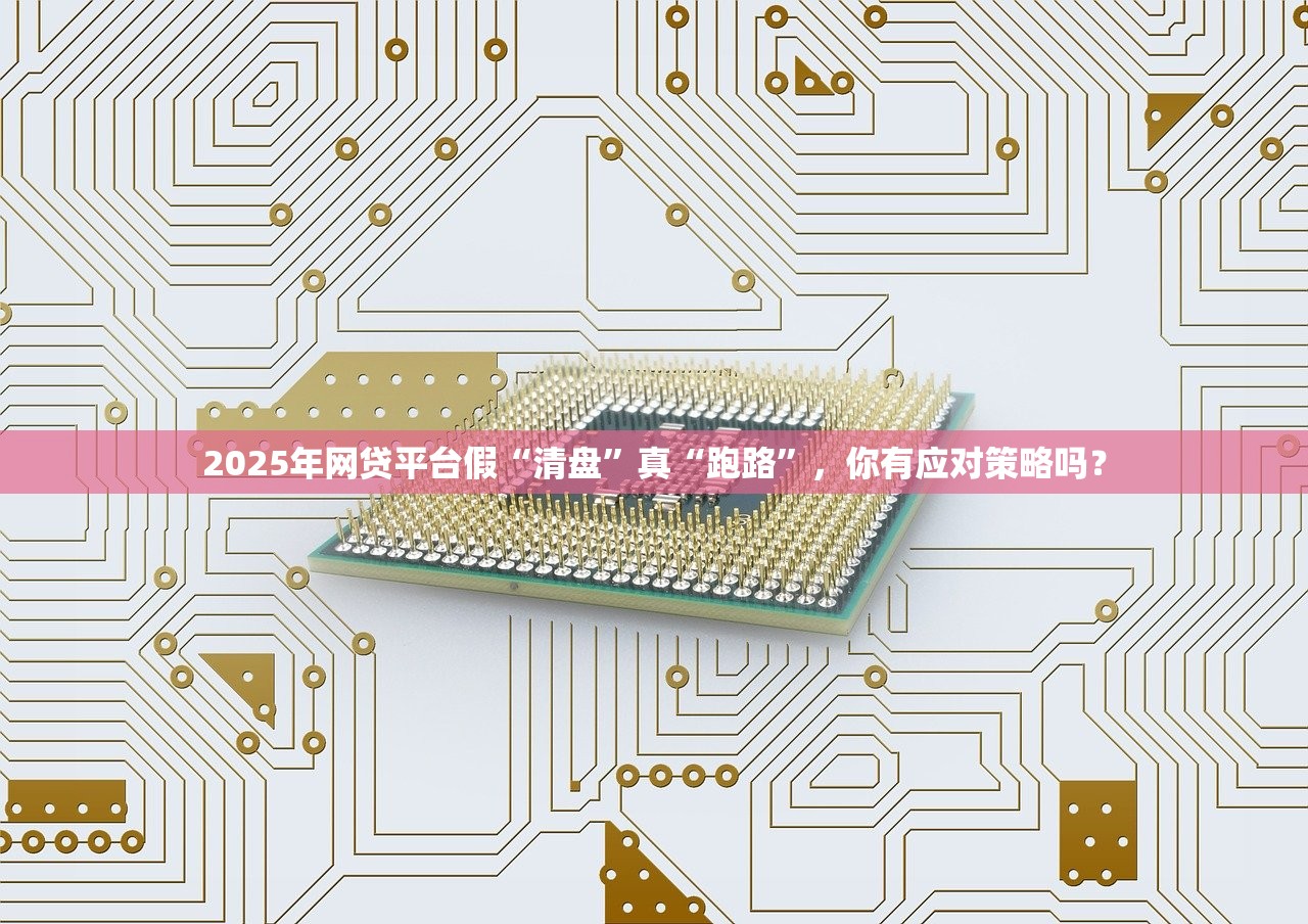 2025年网贷平台假“清盘”真“跑路”，你有应对策略吗？