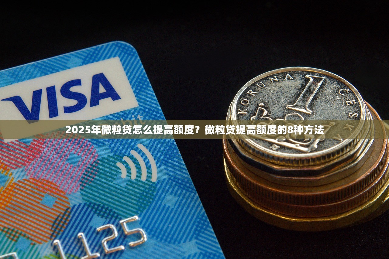 2025年微粒贷怎么提高额度？微粒贷提高额度的8种方法