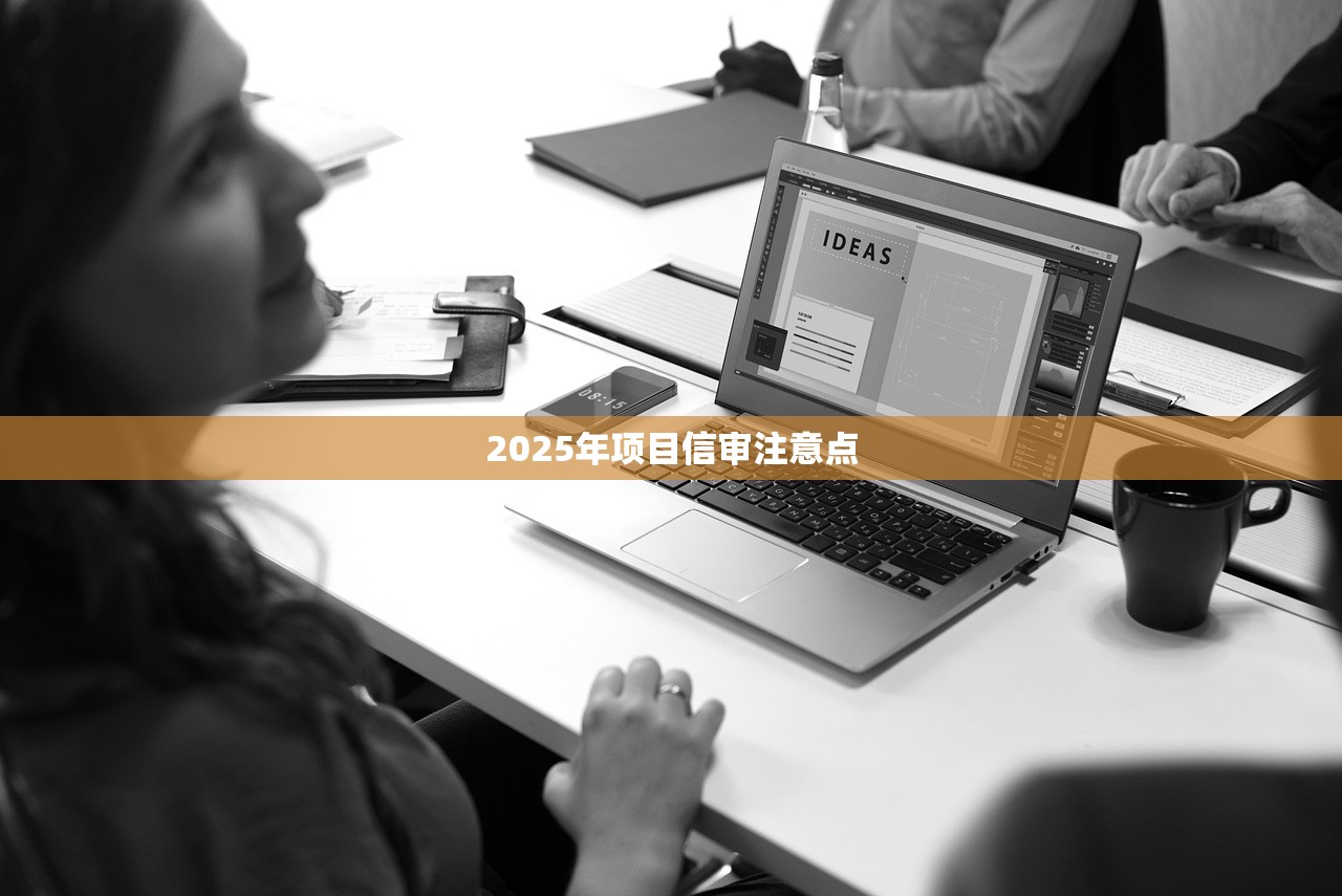 2025年项目信审注意点