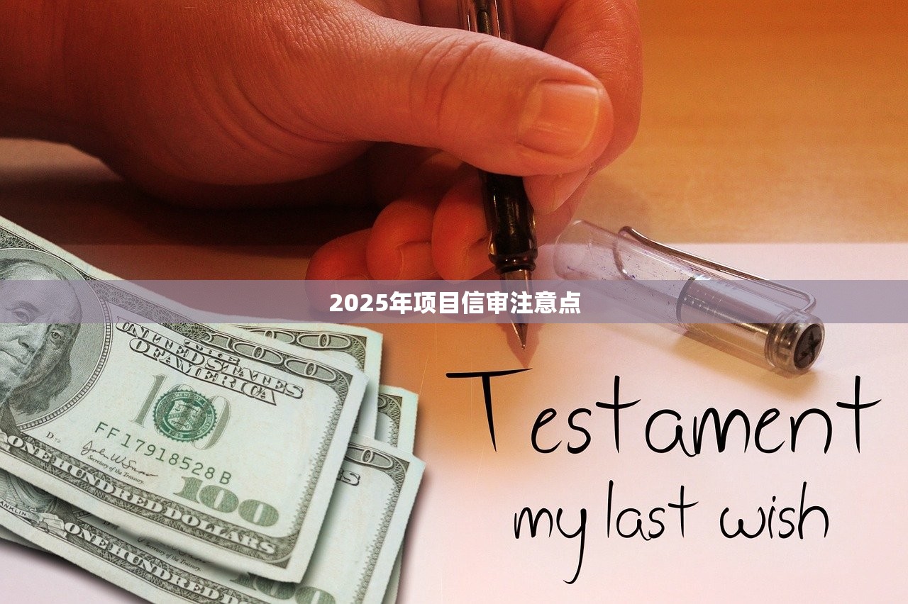 2025年项目信审注意点