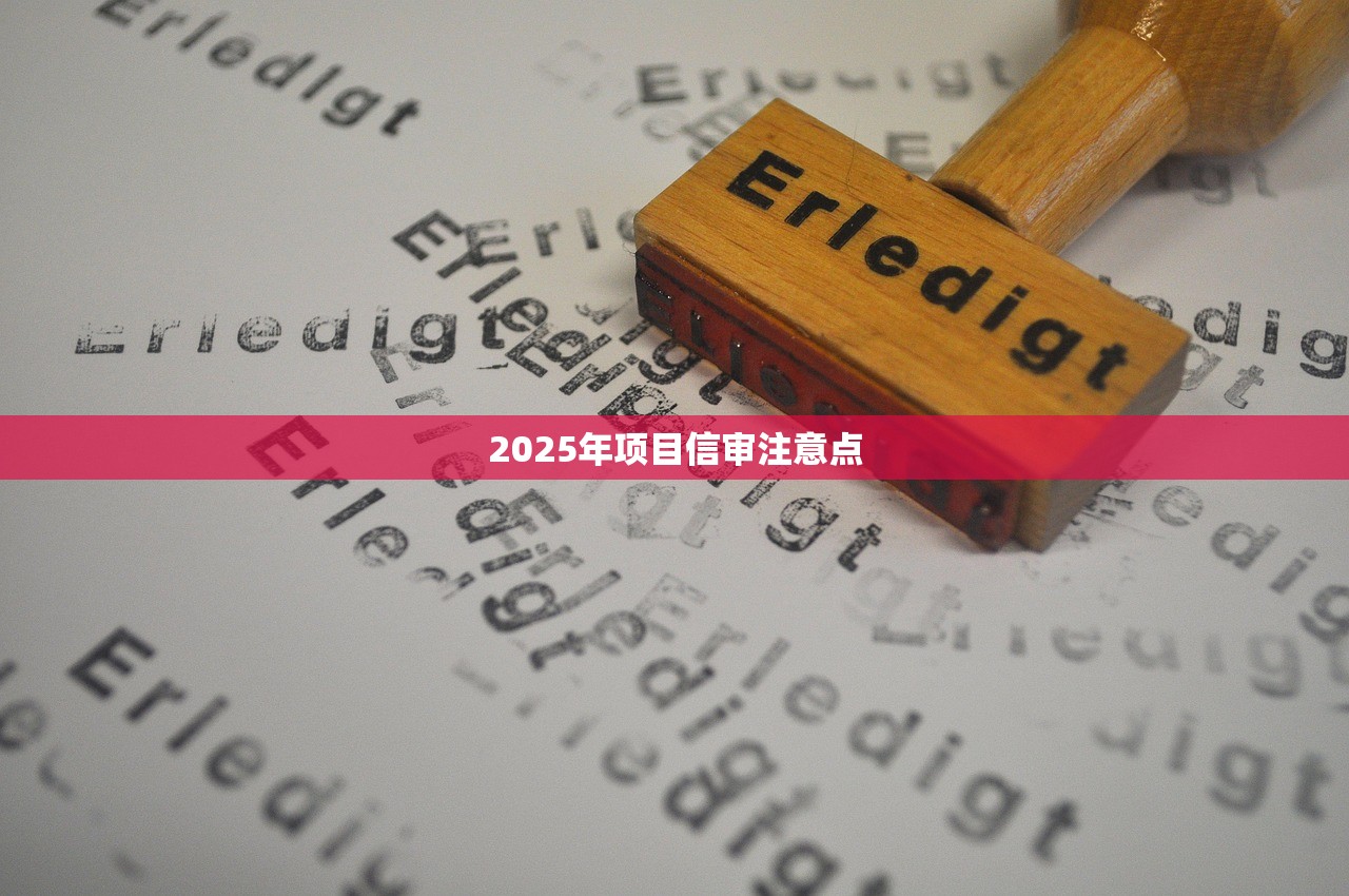 2025年项目信审注意点