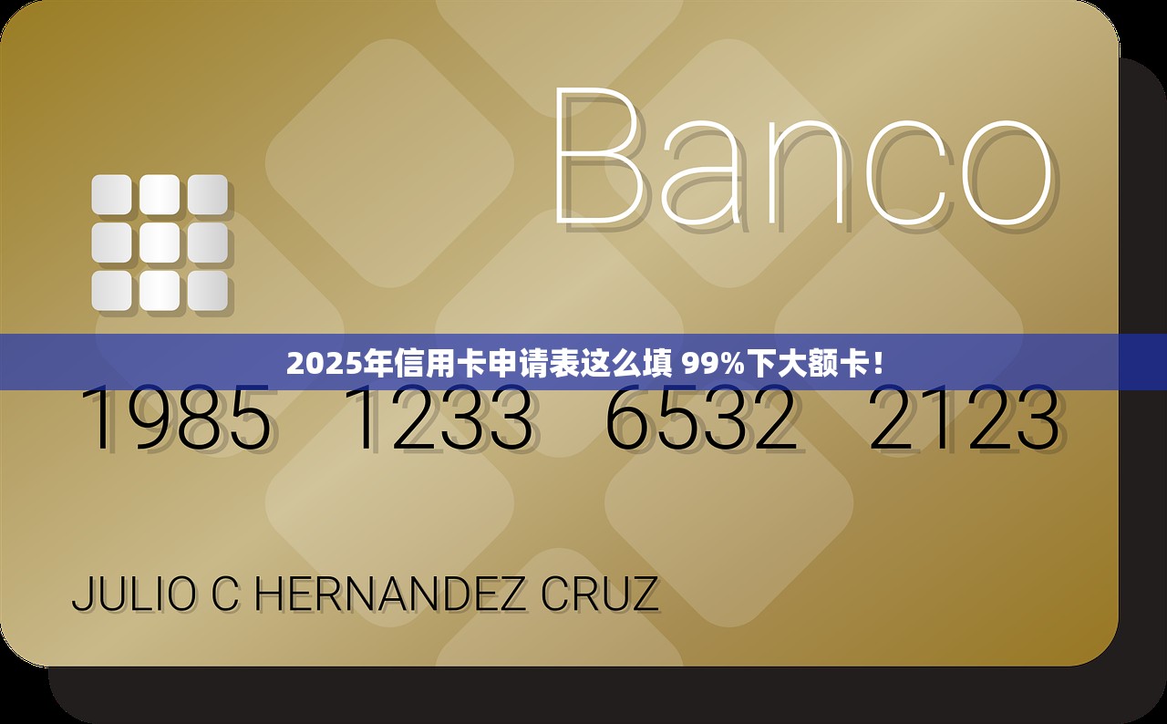 2025年信用卡申请表这么填 99%下大额卡！