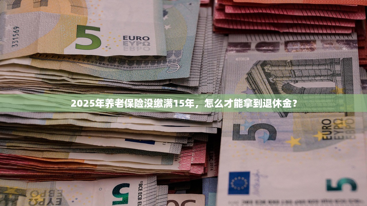 2025年养老保险没缴满15年，怎么才能拿到退休金？