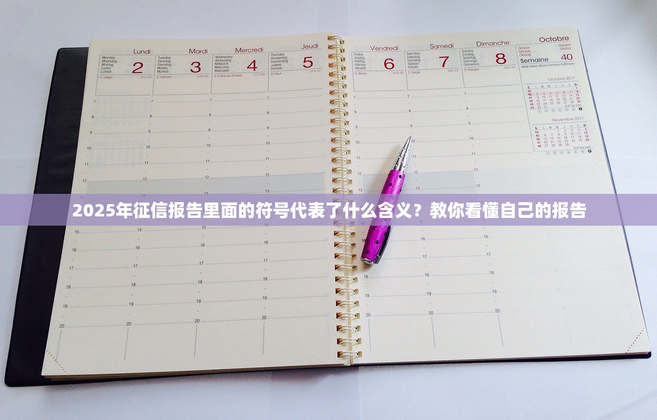 2025年征信报告里面的符号代表了什么含义？教你看懂自己的报告