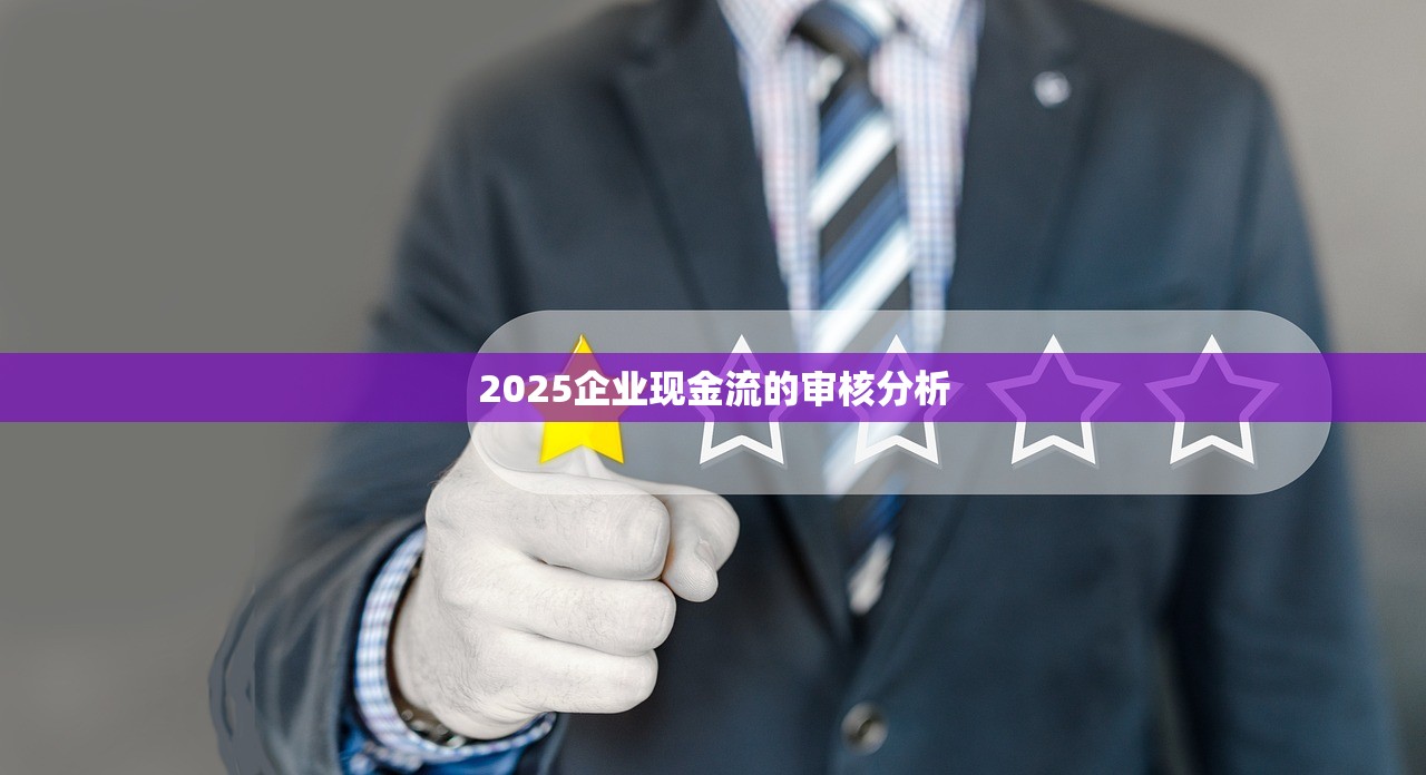 2025企业现金流的审核分析