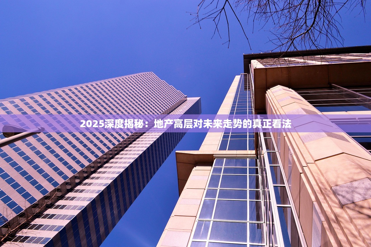 2025深度揭秘：地产高层对未来走势的真正看法