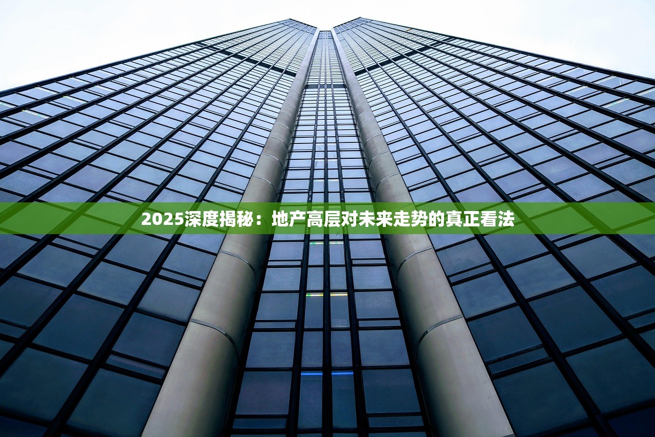 2025深度揭秘：地产高层对未来走势的真正看法