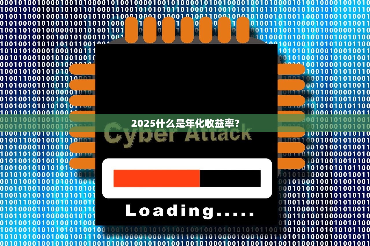 2025什么是年化收益率？