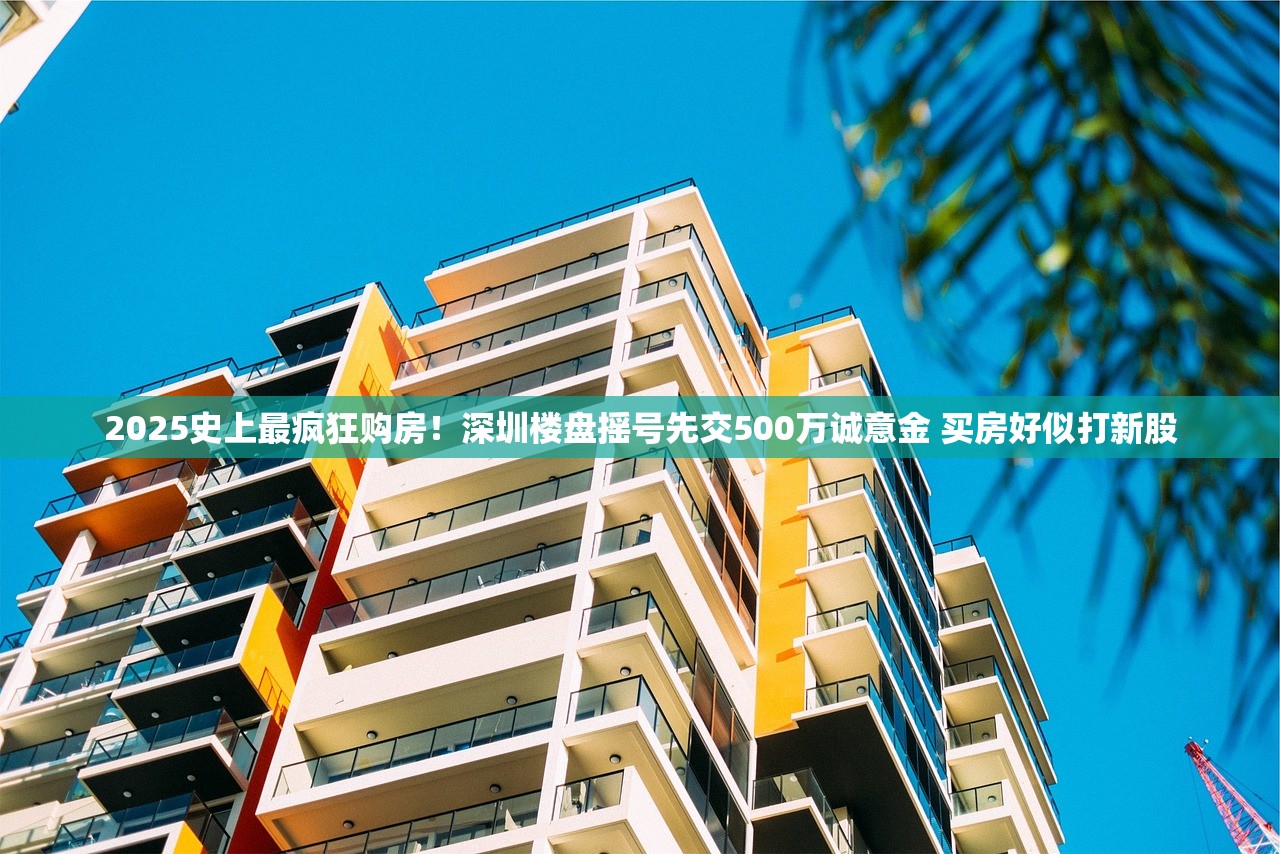 2025史上最疯狂购房！深圳楼盘摇号先交500万诚意金 买房好似打新股