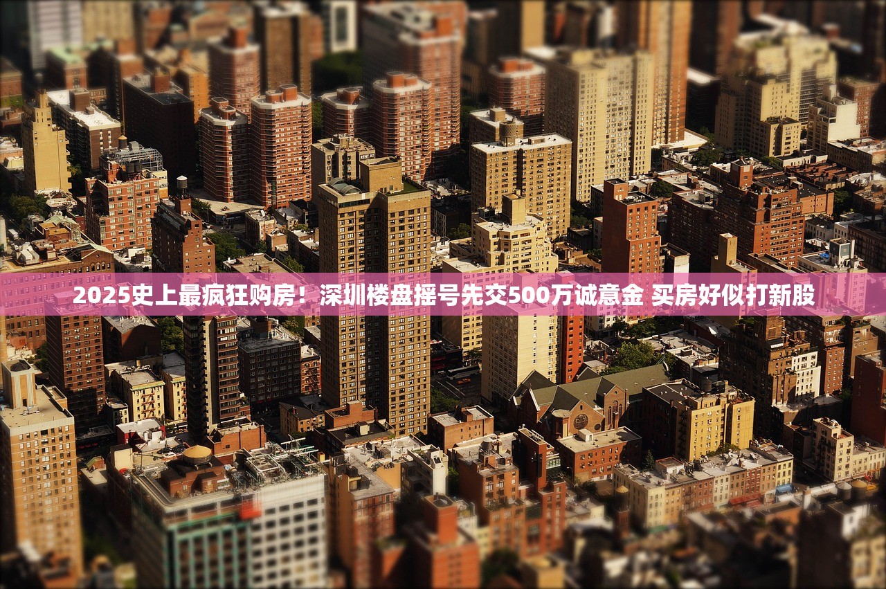 2025史上最疯狂购房！深圳楼盘摇号先交500万诚意金 买房好似打新股