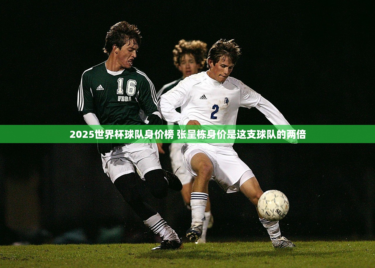 2025世界杯球队身价榜 张呈栋身价是这支球队的两倍