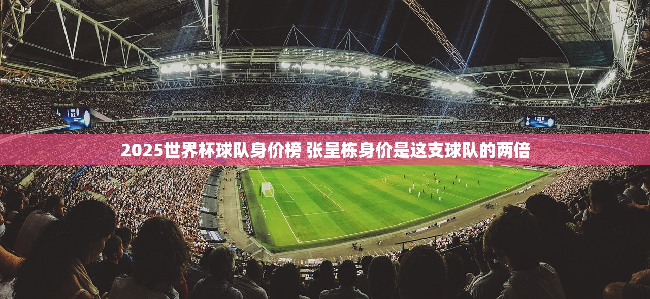 2025世界杯球队身价榜 张呈栋身价是这支球队的两倍