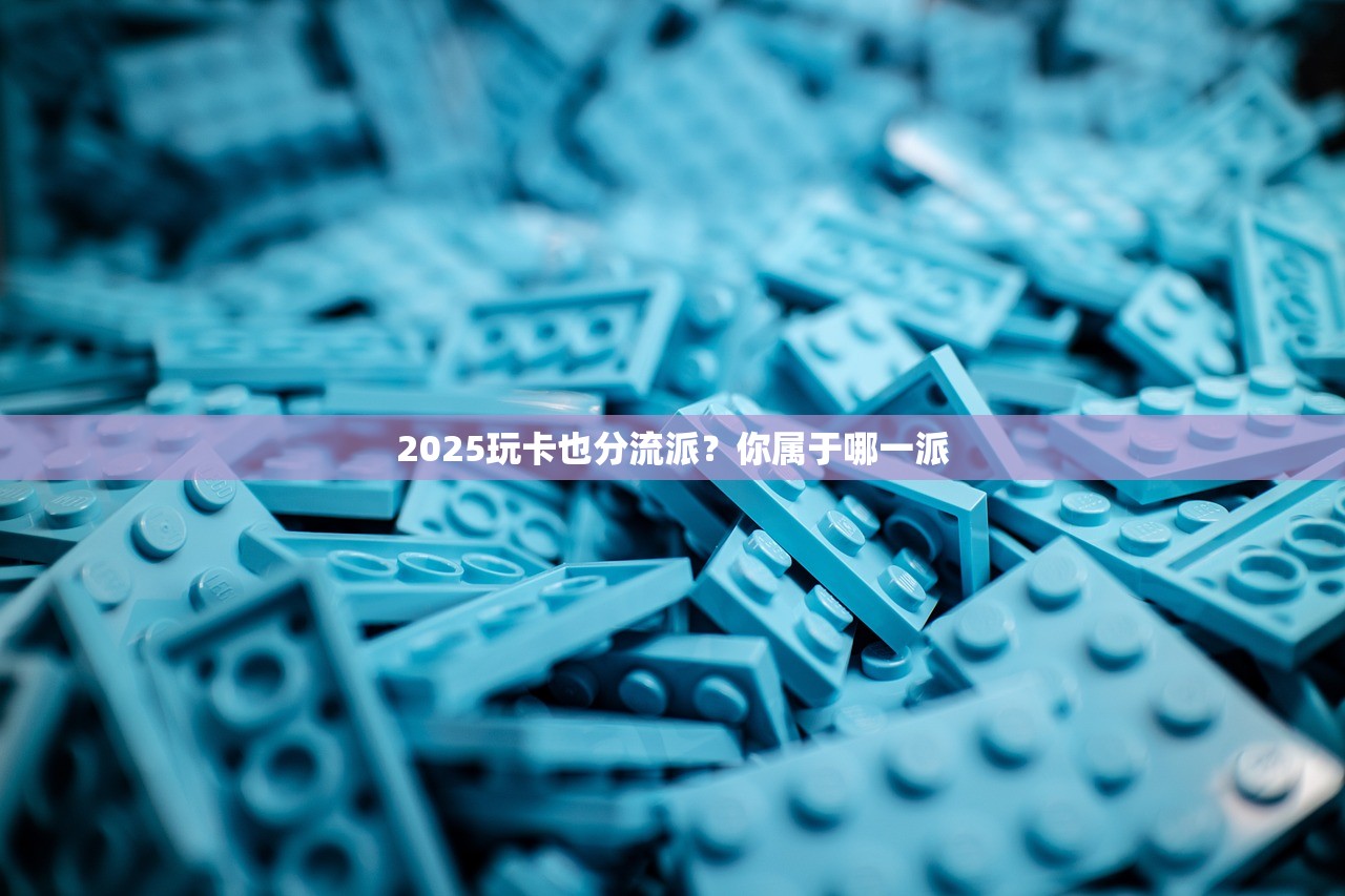 2025玩卡也分流派?你属于哪一派 2025玩卡也分流派?你属于哪一派