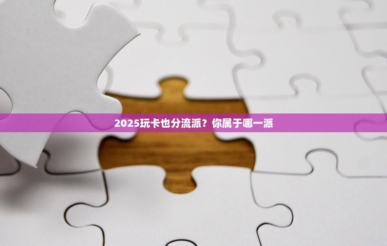 2025玩卡也分流派?你属于哪一派 2025玩卡也分流派?你属于哪一派