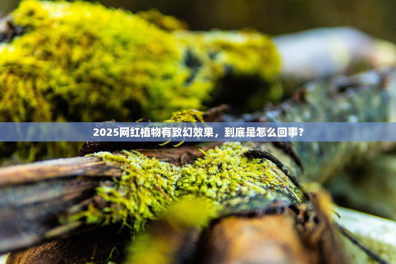 2025网红植物有致幻效果，到底是怎么回事？