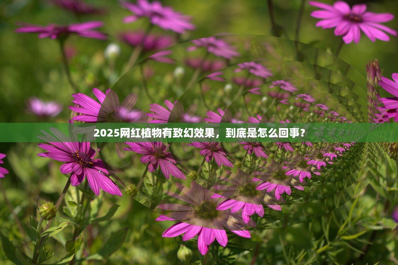 2025网红植物有致幻效果，到底是怎么回事？