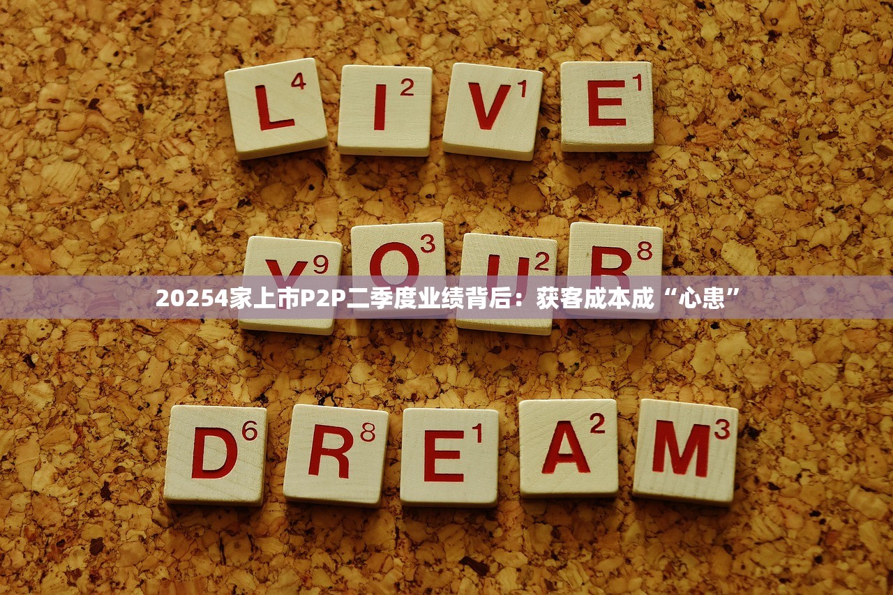 20254家上市P2P二季度业绩背后：获客成本成“心患”