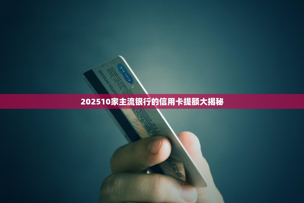 202510家主流银行的信用卡提额大揭秘